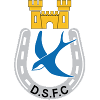 Dungannon Swifts II