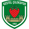 Kestel Cilek
