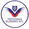 Trethomas Bluebirds