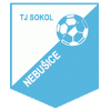 Sokol Nebusice