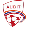 AUDIT