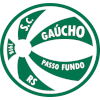 Gaucho Passo Fundo U20