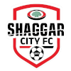 Shaggar City