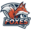 Foxes (2x2)