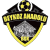 Beykoz Anadoluspor