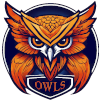 Owls (2x2)