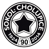 TJ Sokol Cholupice