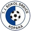 Sokol Srbice
