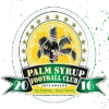 Palm Syrup