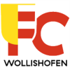 Wollishofen II