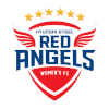 Hyundai Steel Red Angels (Women)