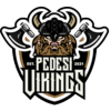 Pedesi Vikings
