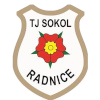 Sokol Radnice